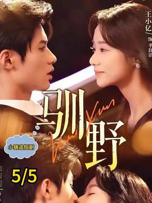 回声档案 电视剧全集免费观看